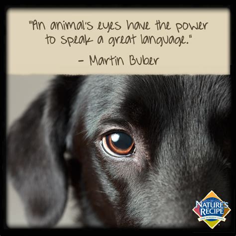 Good Quote Dog Quotes Dogs Dog Eyes