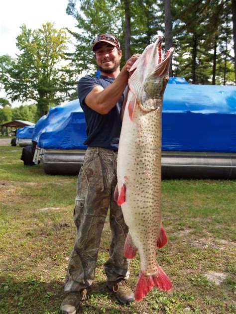 See you in another article post. 243 best images about Big fish - Caught! but not by me! on ...