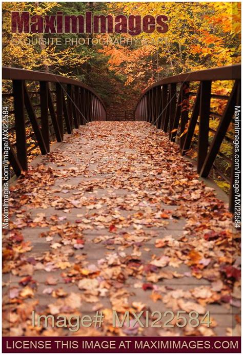 Stock Photo Fall Nature Scenery Of A Bridge Maximimages
