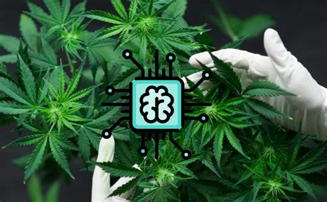 The Smart Cannabis Grow Kit Powered By Ai Cangrowclub