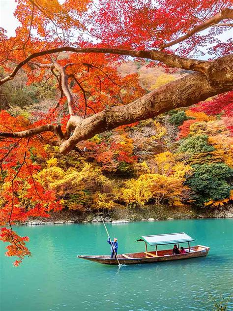Japan Fall Foliage Guide 2018 Veltra
