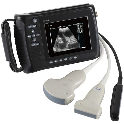 Veterinary Equipment Handheld Ultrasound Scanner China Veterinary