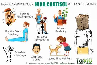 Cortisol Levels Stress Hormone Reduce Lower Top10homeremedies