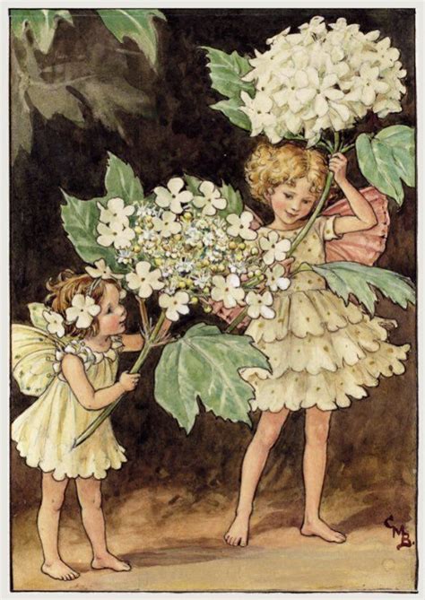 Maude Frome On Twitter Fairytale Art Fairy Art Rose Fairy