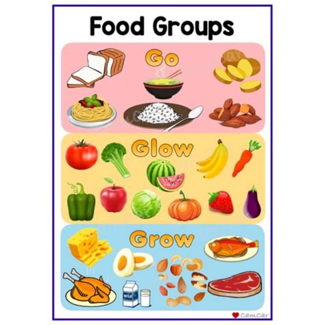 Food Groups A4 Laminated Educational Wall Chart Go Gl
