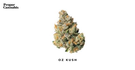 Oz Kush Strain Proper Cannabis
