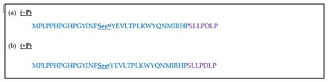 Molecules Free Full Text Identification Of Key Functional Motifs Of