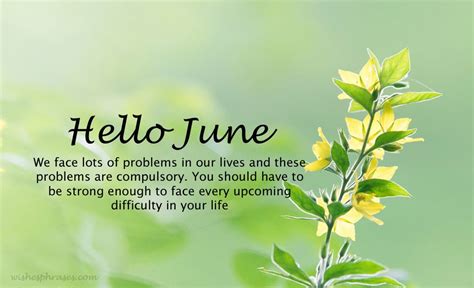 June Month Birthday Quotes Shortquotescc