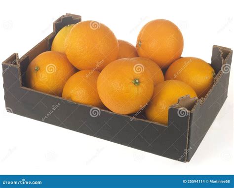 Box Of Oranges Stock Photo Image Of Still White Cutout 25594114