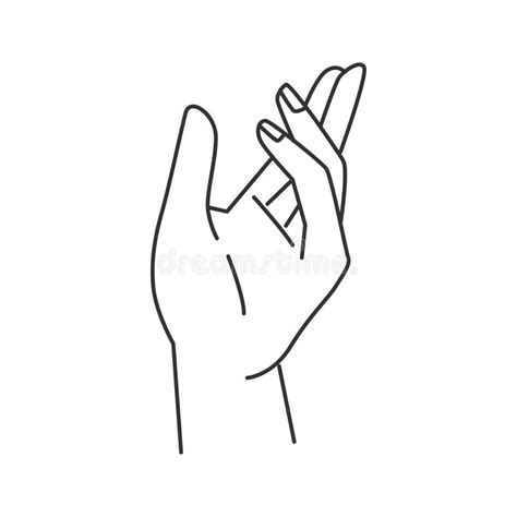 Woman Hand Gesturing Ok Sign Isolated Stock Illustrations 339 Woman