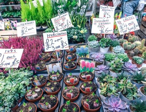 11 Of The Best Sunday Markets In London Ck Travels
