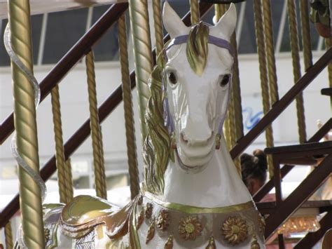 Carousel With Wooden Horses 5 Free Stock Photo Public Domain Pictures