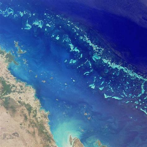 Great Barrier Reef Wikipedia