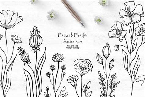 Hand Drawn Wildflower Clipart Flower Digital Stamps