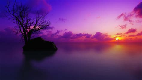 Free Download Purple Sunset Wallpaper 1920x1200 1006112 1920x1200