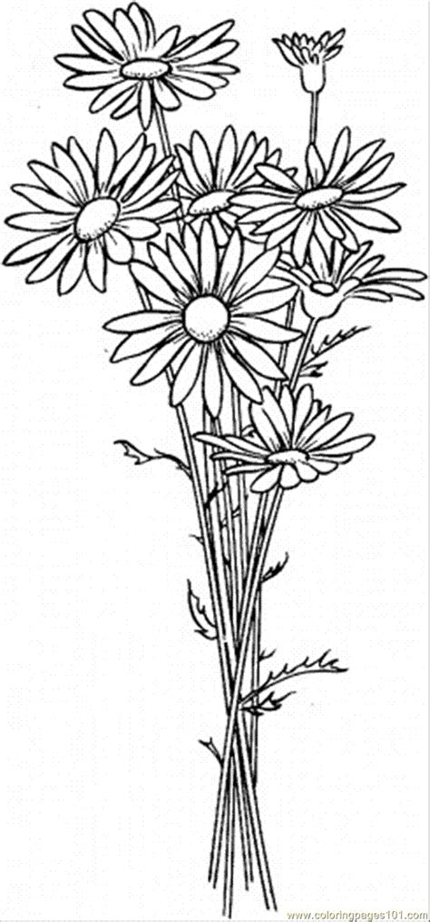 This lovely flower coloring page can be used as a gift for family and friends. Coloring Pages Daisy 6 (Natural World > Flowers) - free ...