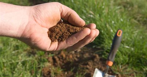 How To Test Soil In The Home Garden Gardeners Path
