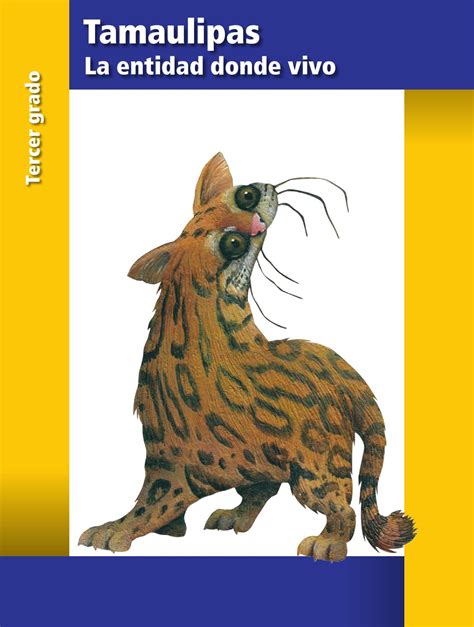 Paco el chato matematicas 1 secundaria libros de have a graphic associated with the other. Paco El Chato 1 Secundaria El Libro De Historia | Libro Gratis