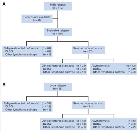 A Flowchart Of 112 Patients With Relapsed Diffuse Large B Cell