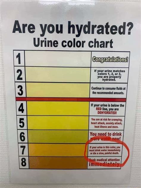 Printable Urine Hydration Chart Are You Hydrated Urine Color Chart