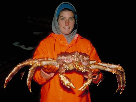 King crab is world renowned for its large size and grand taste. Alaskan king crab fishing - Wikipedia