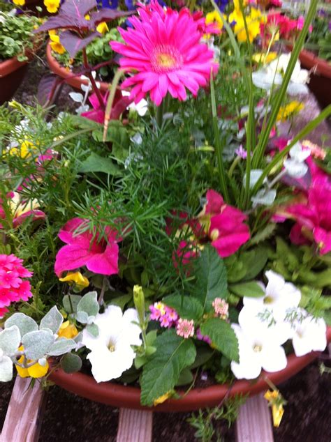 25 Best Images About Flower Pot Arrangements On Pinterest