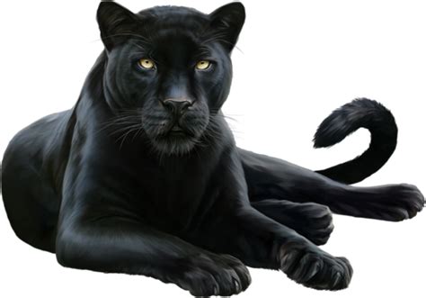 Panther Png Hd Png Svg Clip Art For Web Download Clip Art Png Icon Arts