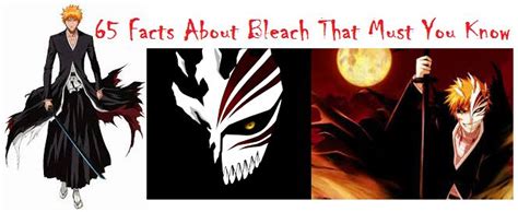 65 Facts About Bleach That Must You Know