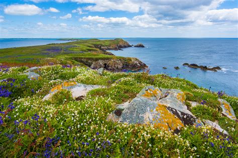 Free Images Landscape Sea Coast Nature Grass Rock Ocean