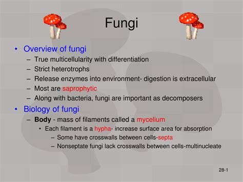 Ppt Fungi Powerpoint Presentation Free Download Id5339976