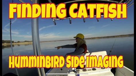 Serve on top of white rice. Tips on finding Blue Catfish on Side Imaging "ACTUAL ...
