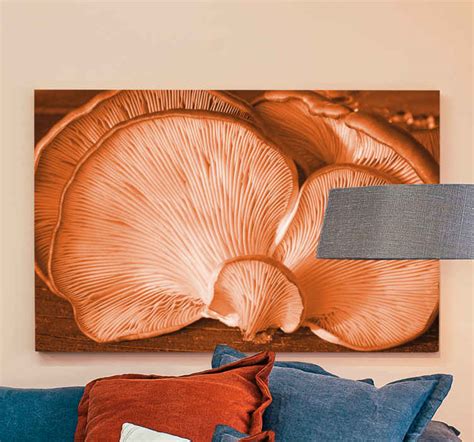 Orange Wild Mushrooms Underneath Canvas Art Tenstickers