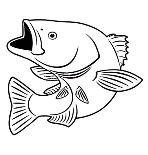 Pascal quéru sketch #2479 c 'est qui ? Smallmouth Bass Drawing at GetDrawings | Free download