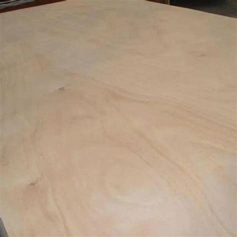 Uv Coated Birch Plywood China Uv Coated Birch Plywood Manufacturers