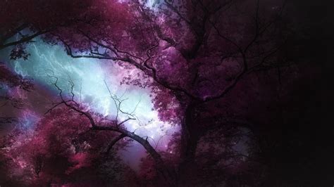 Purple Forest