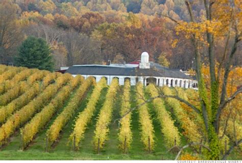 Take A Wine Tasting Trip 10 Buzzworthy Wineries Barboursville