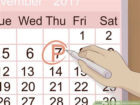 3 Ways To Track Your Ovulation WikiHow