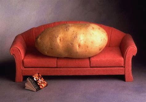 the active couch potato how to eliminate him her