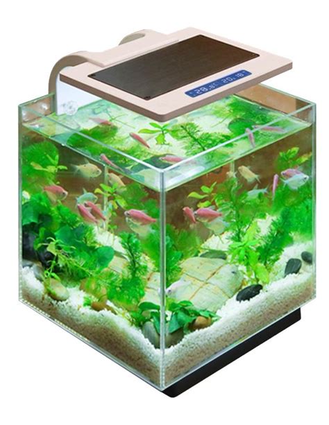 Penn Plax Simplicity Pro Gallon Aquarium With Built In Filter And