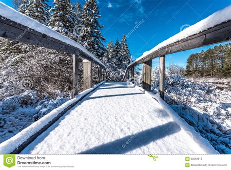Snow Covered Footbridge Blue Sky Morning Stock Image Image Of Path
