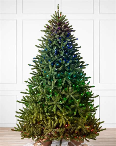 Classic Blue Spruce® Christmas Trees Balsam Hill