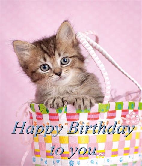 Pin By Carmen Caceres On Happy Birthday Happy Birthday Cat Happy