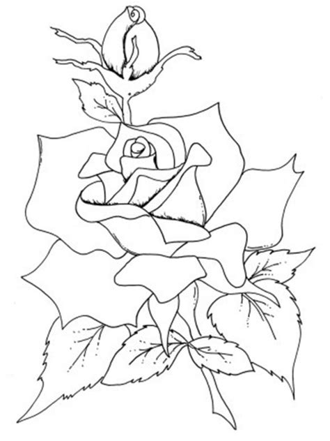 Hopefully you can make some time for you and relax while working on one of these flower adult. Roses Flowers Coloring Pages | Rose coloring pages, Flower ...