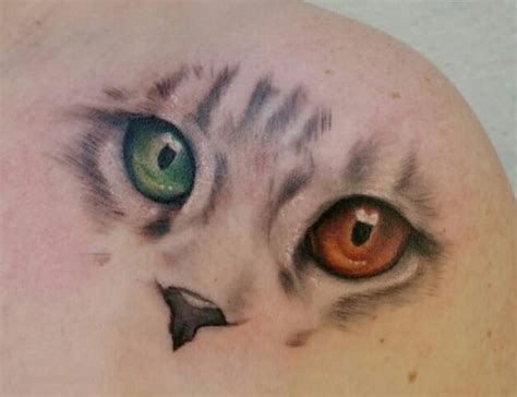 We cater to all your needs and make you rock hard in seconds. 24 Best Cat Eye Tattoo Designs | The Paws