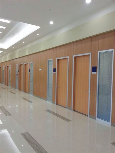 Modern Clinic Door Healthcare Door
