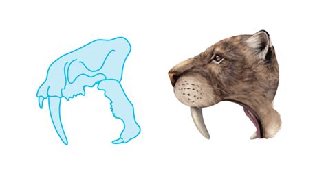 How To Draw Animals The Great Extinct Mammals Tuts Design