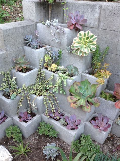 Pretty Succulent Gardens That Will Amaze You World Inside Pictures