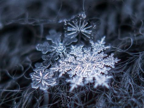 Snowflakes By Alexey Kljatov Chaoticmind75 Snowflake Photography