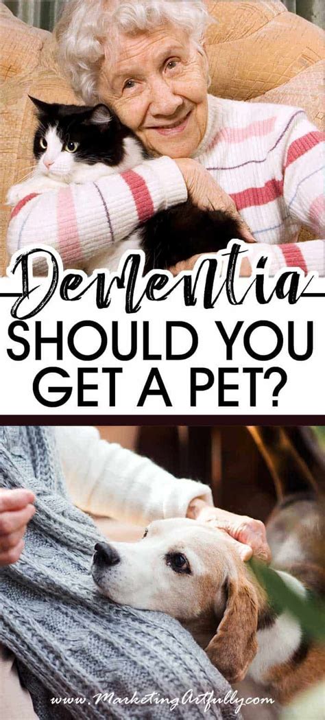 The exact causes are unknown, however genetic factors may play a role in animals developing the condition, and it can be a result of changes as the cat ages. Should You Get Your Dementia Parent A Cat or a Dog ...