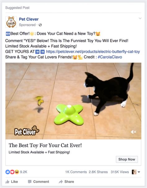You'll learn how to build your ideal target audiences, choose campaign objectives, and create sponsored ads. The Anatomy of Effective Facebook™ Ads for Pet Products ...